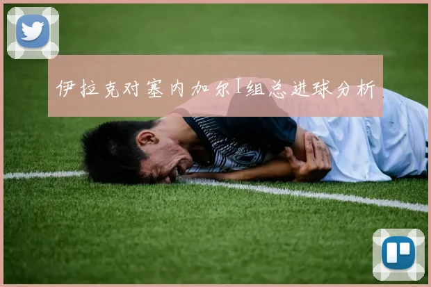 伊拉克对塞内加尔I组总进球分析