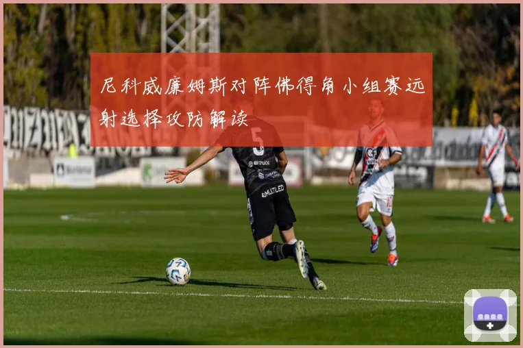 尼科威廉姆斯对阵佛得角小组赛远射选择攻防解读