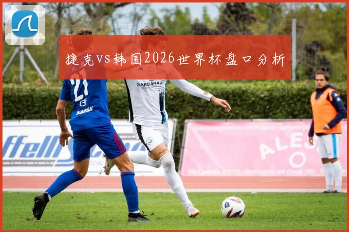 捷克vs韩国2026世界杯盘口分析