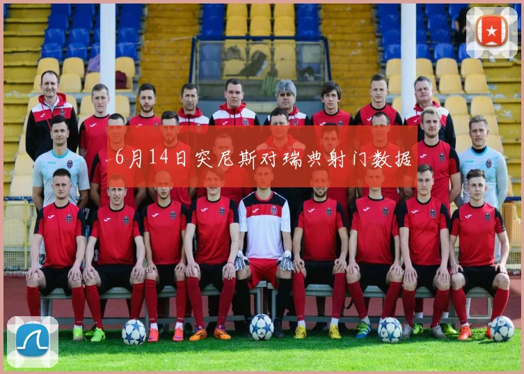 6月14日突尼斯对瑞典射门数据