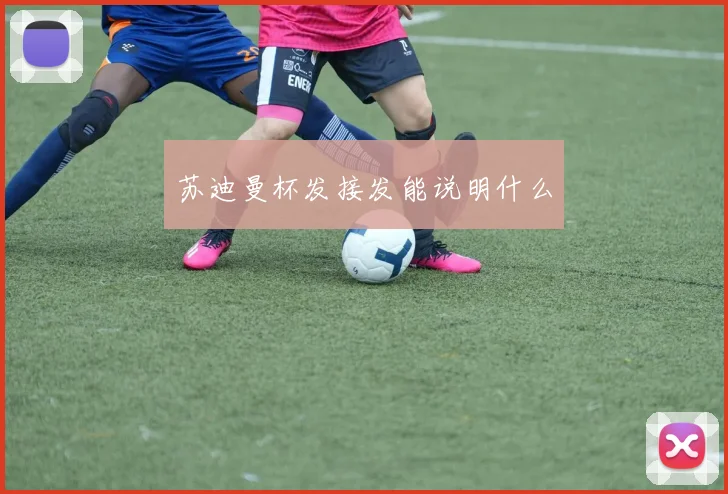 苏迪曼杯发接发能说明什么