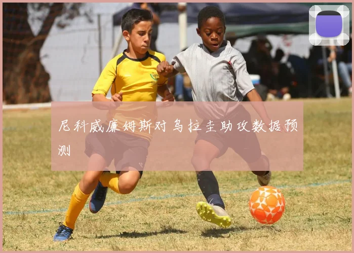 尼科威廉姆斯对乌拉圭助攻数据预测