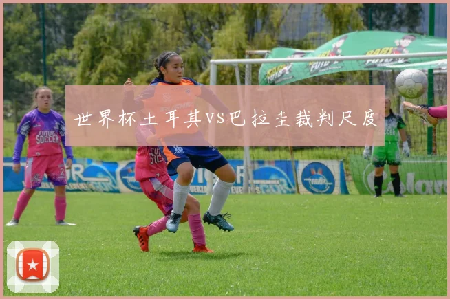 世界杯土耳其vs巴拉圭裁判尺度