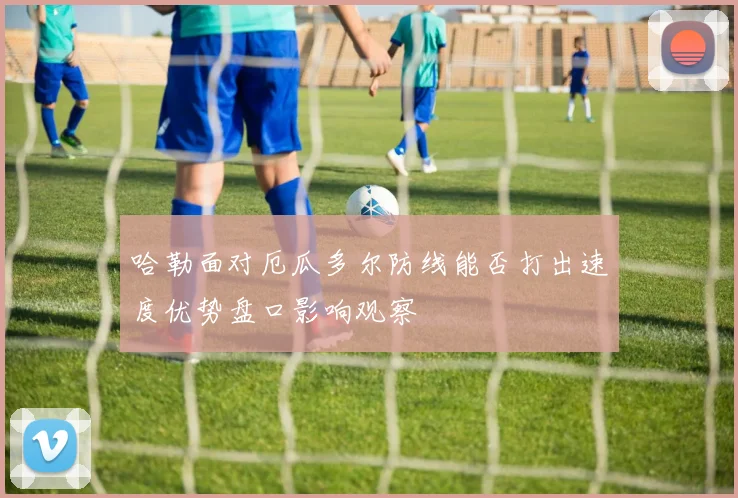 哈勒面对厄瓜多尔防线能否打出速度优势盘口影响观察