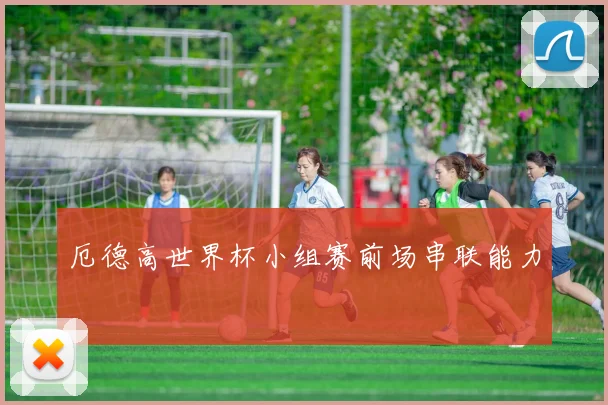 厄德高世界杯小组赛前场串联能力